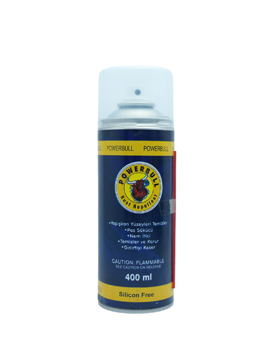 PAS SOKUCU YAGLAYICI (MULTI) SPREY 400 ML 